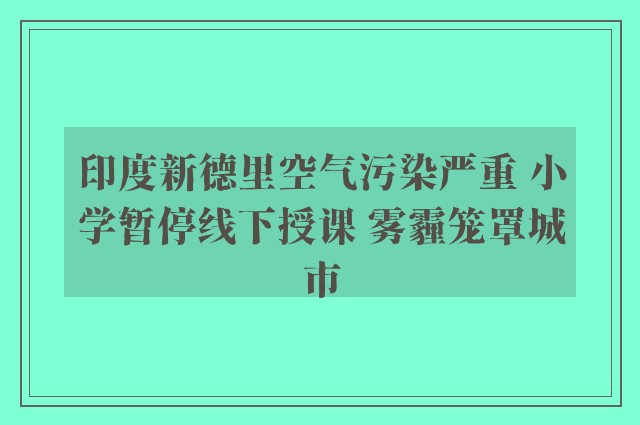 印度新德里空气污染严重 小学暂停线下授课 雾霾笼罩城市