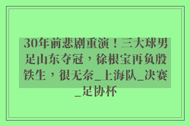 30年前悲剧重演！三大球男足山东夺冠，徐根宝再负殷铁生，很无奈_上海队_决赛_足协杯