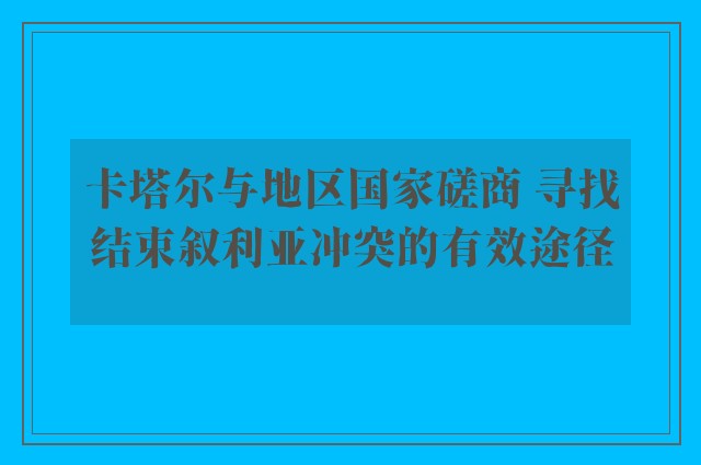 卡塔尔与地区国家磋商 寻找结束叙利亚冲突的有效途径